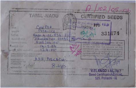 foundation seed tag colour|TNAU Agritech Portal :: Seed Technology.